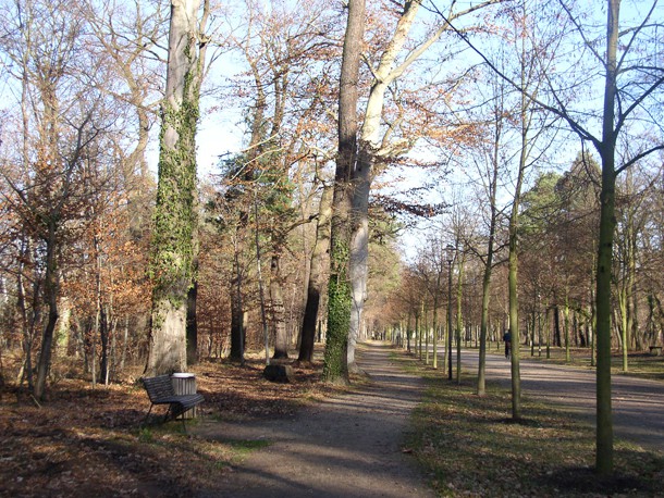Entnahme_erforderlich_Parkpflegewerk_Schlosspark_Elsterwerda