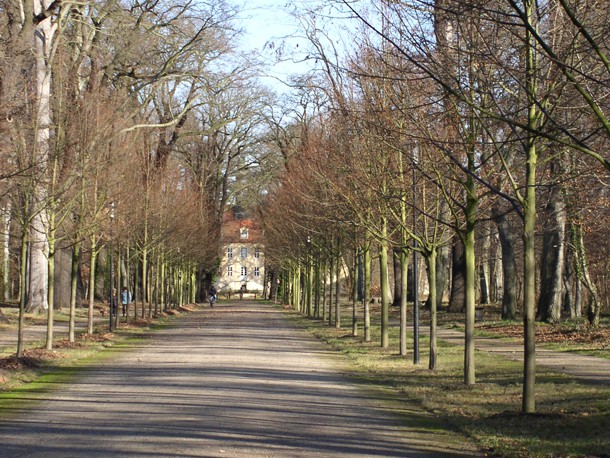 Lindenallee_Parkpflegewerk_Schlosspark_Elsterwerda