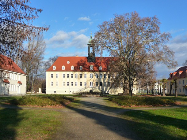 Platane_Parkpflegewerk_Schlosspark_Elsterwerda